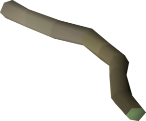 Celastrus bark.png