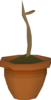 Farmers-fortune.png