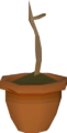 Thumbnail for version as of 00:59, 21 August 2025