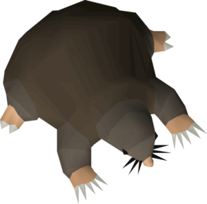 No-pet-debt.png