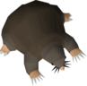 No-pet-debt.png