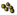 Polypore Spores.png
